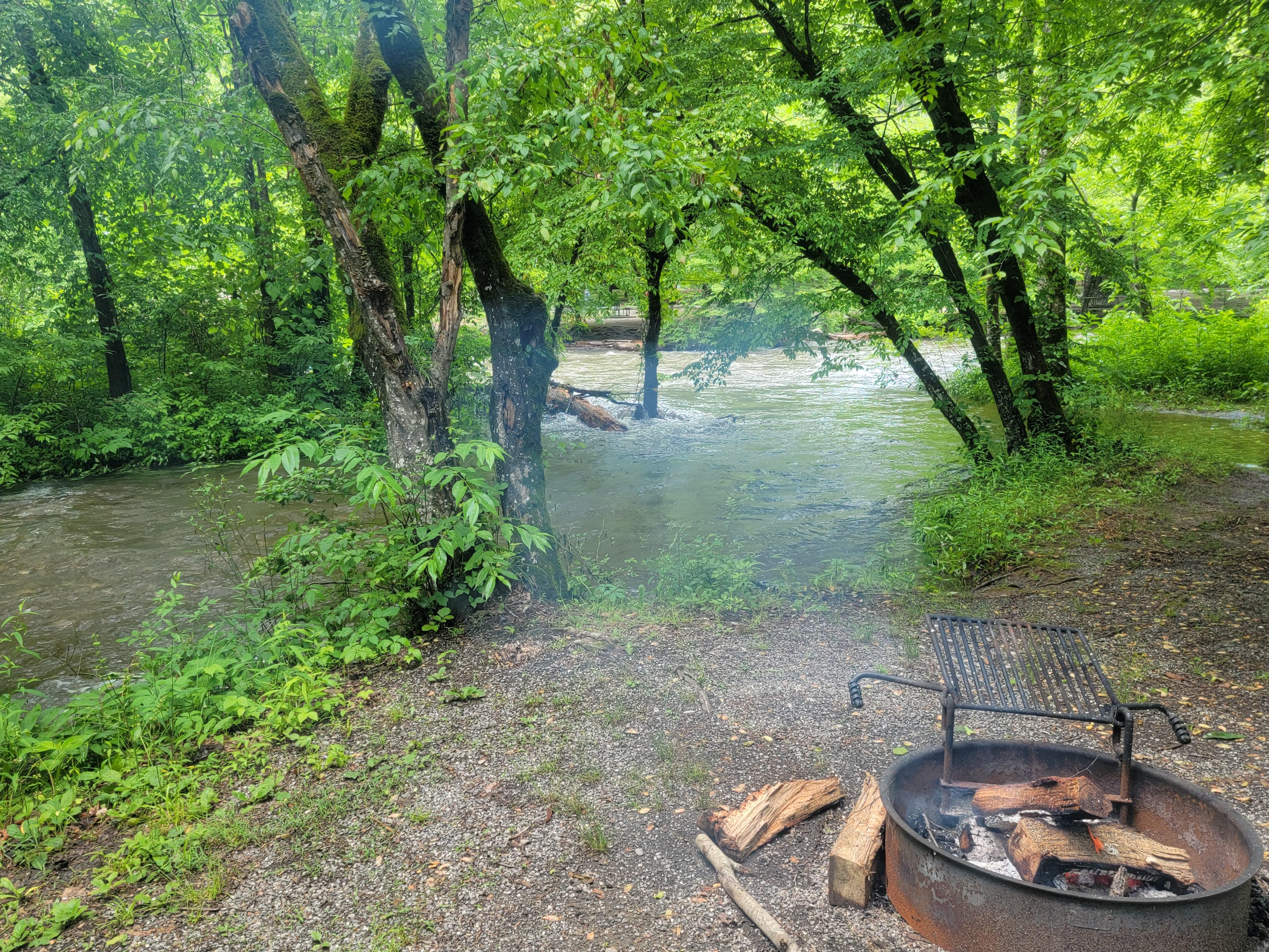 Best campgrounds in North Carolina