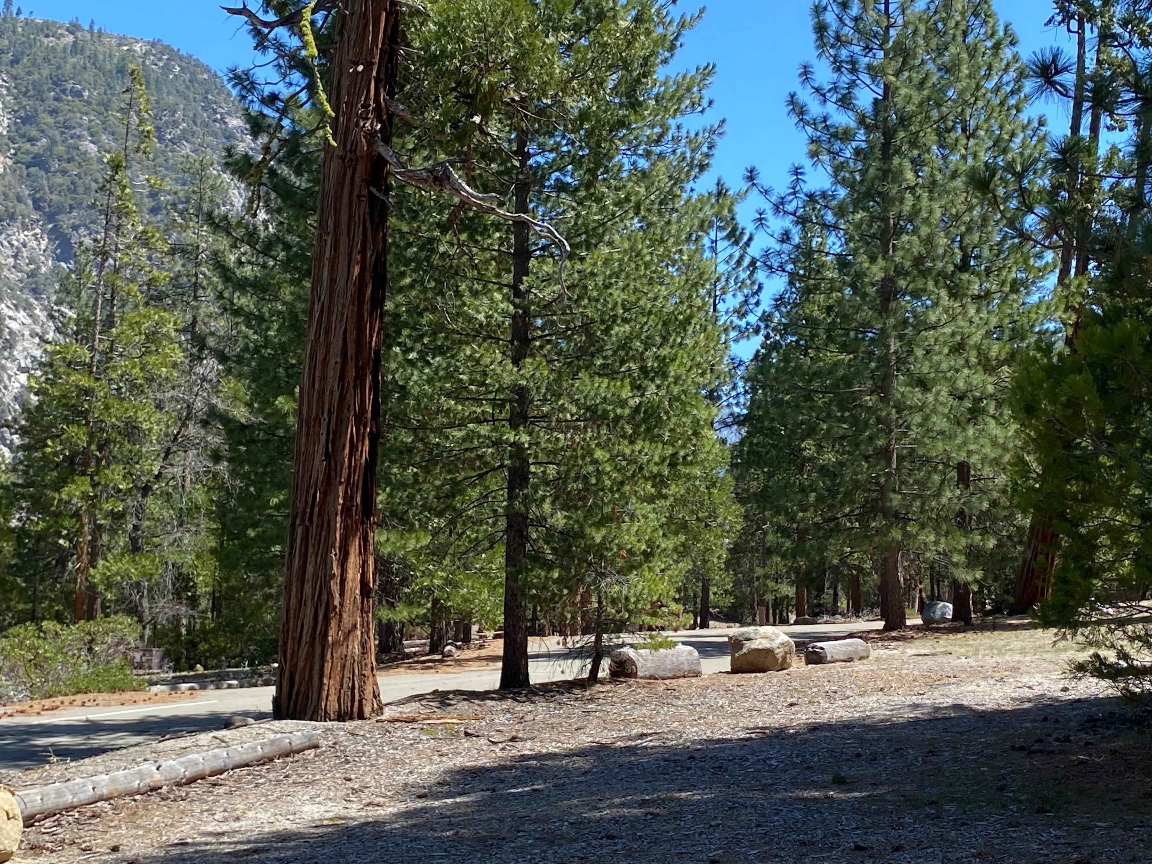 Moraine Campground (Ca)