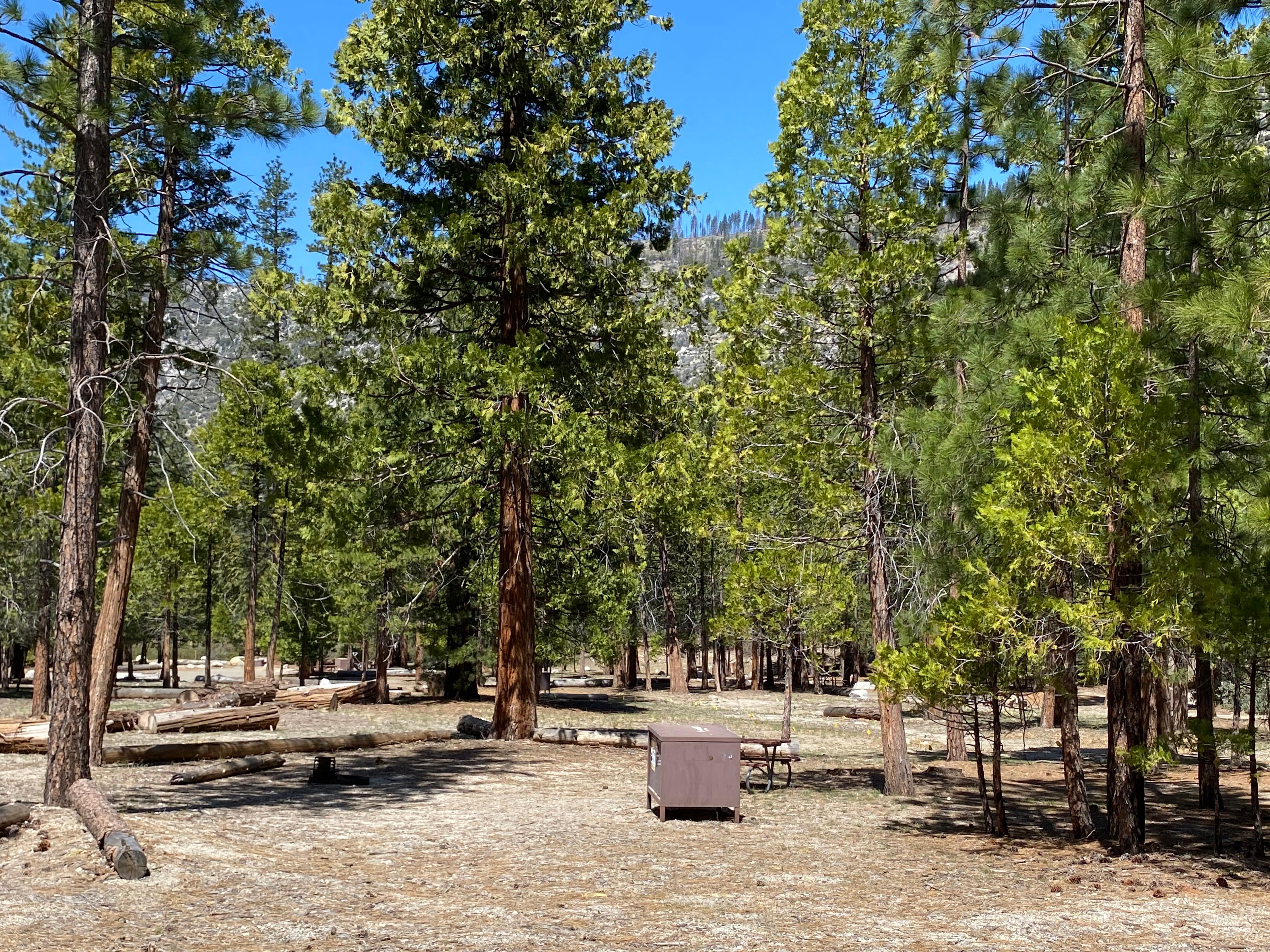 Moraine Campground (Ca)