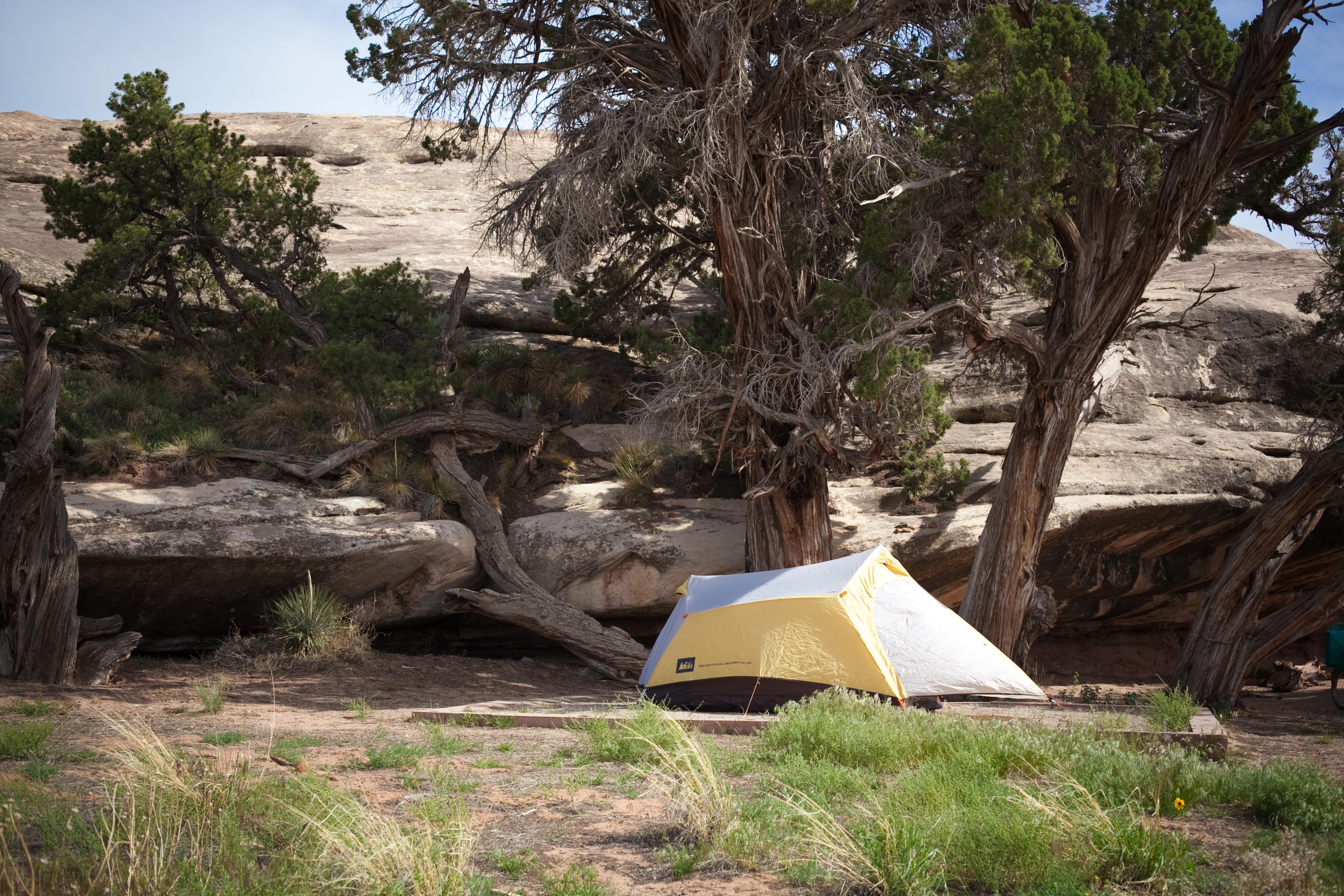 Canyonlands National Park Needles District Group Campsites