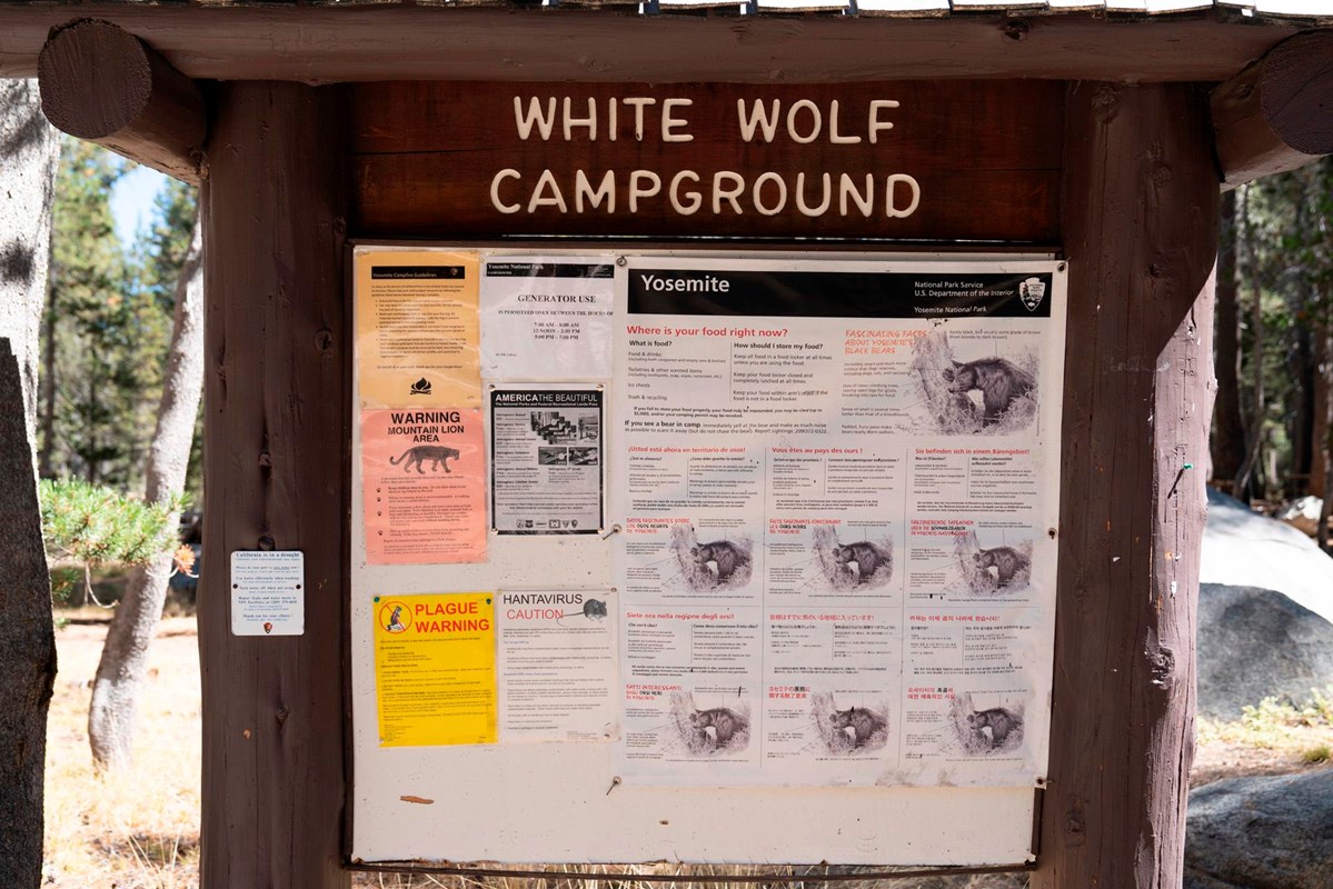 White Wolf Campground