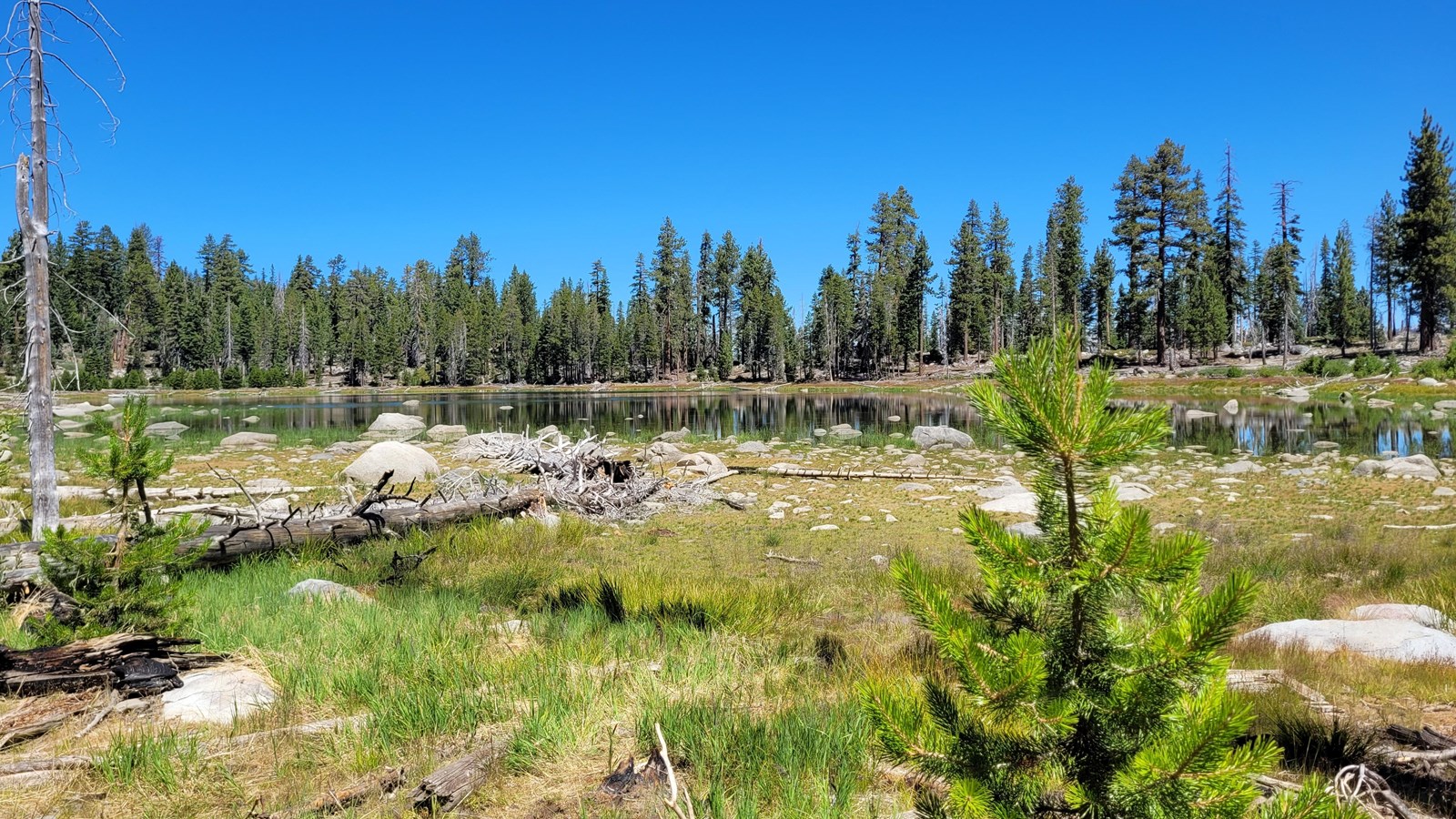 White Wolf Campground