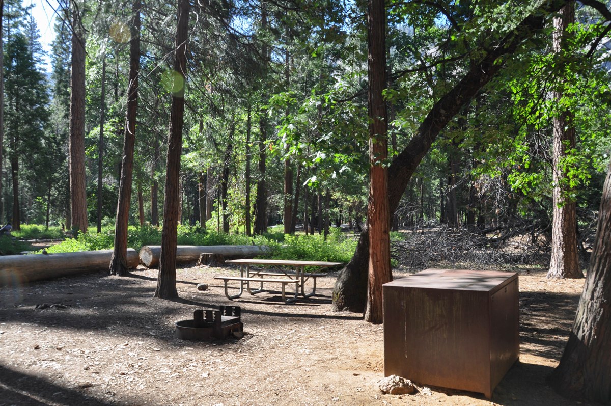 Yosemite Creek Campground