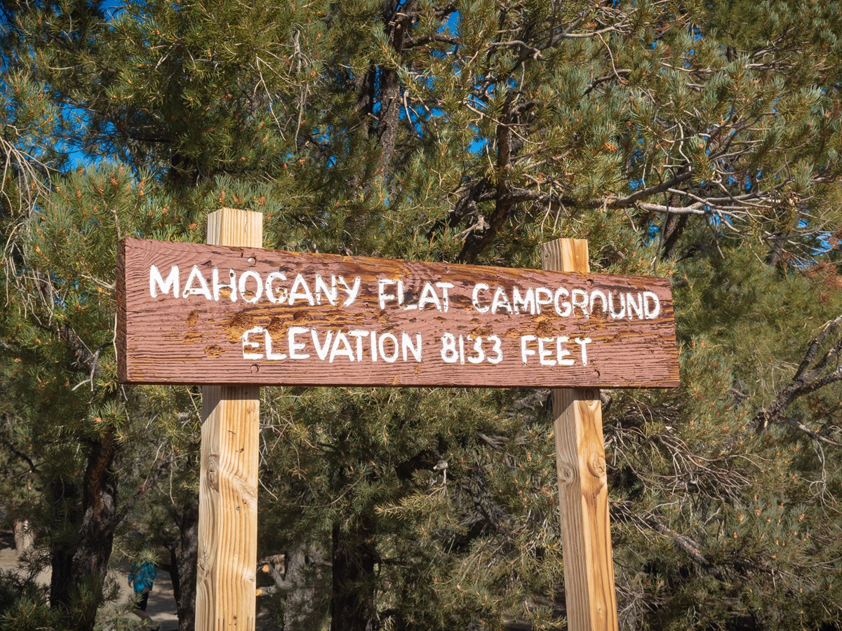 Mahogany Flat Campground (Primitive)