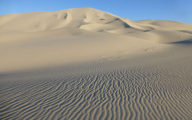 Eureka Dunes Campground (Primitive)