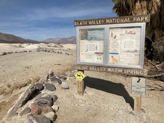 Saline Valley Campground (Primitive)