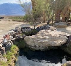 Saline Valley Campground (Primitive)