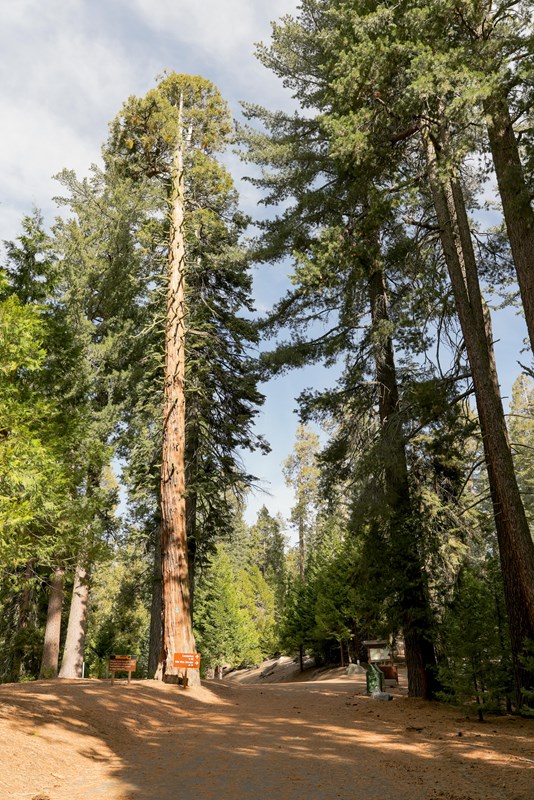 Crystal Springs Campground (Ca)