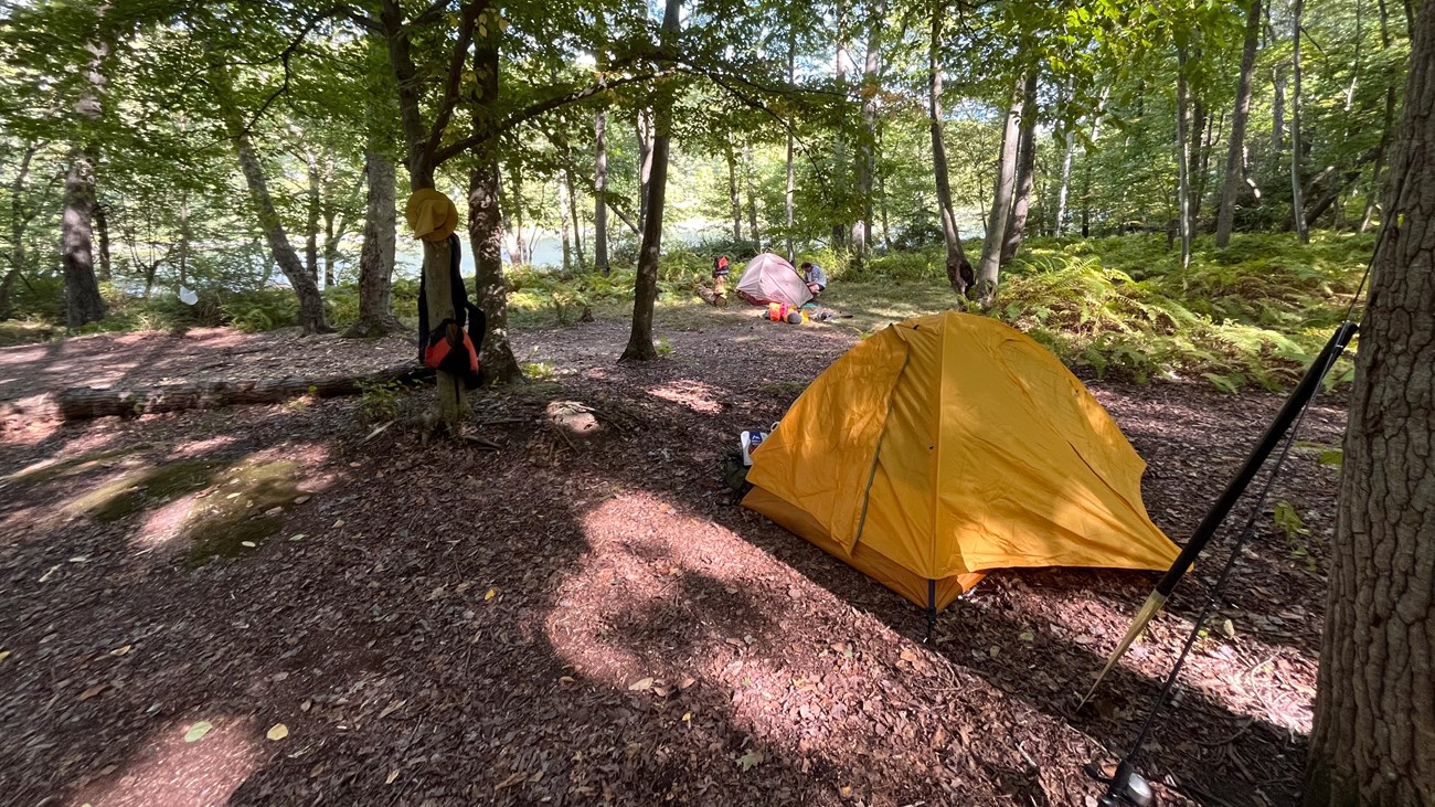 Buckhorn Campground Loop B