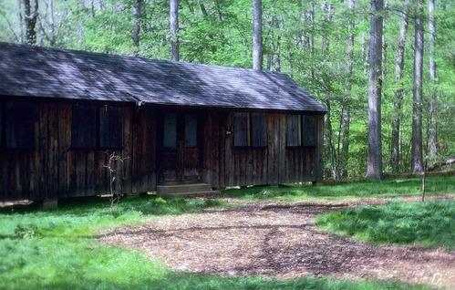 Cabin Camp 4 (By Reservation Only)