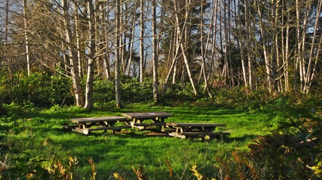 White Pine Backcountry Campground Permits