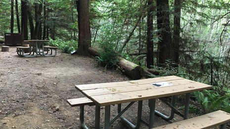 White Pine Backcountry Campground Permits