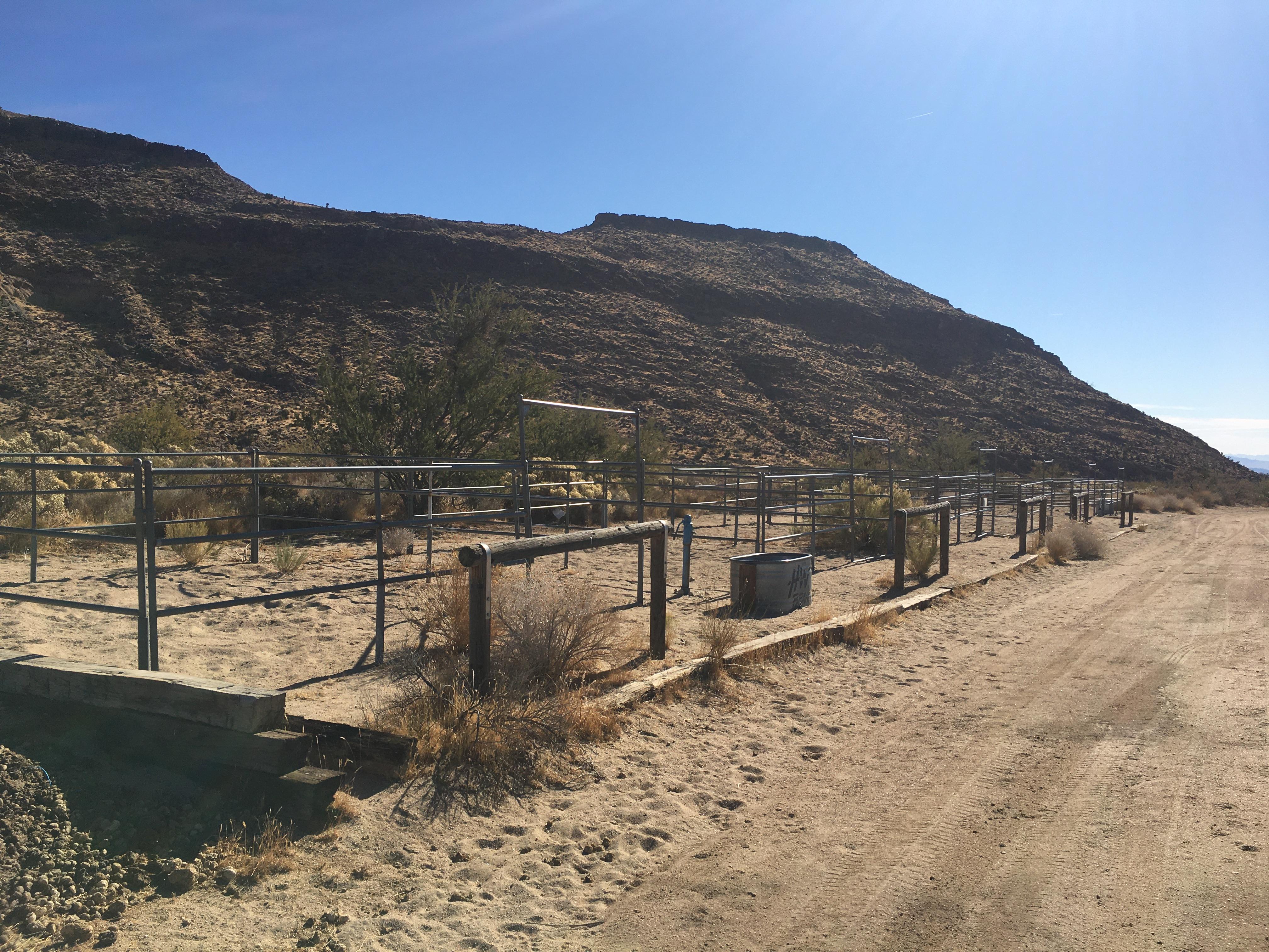 Black Canyon Group And Equestrian Campground