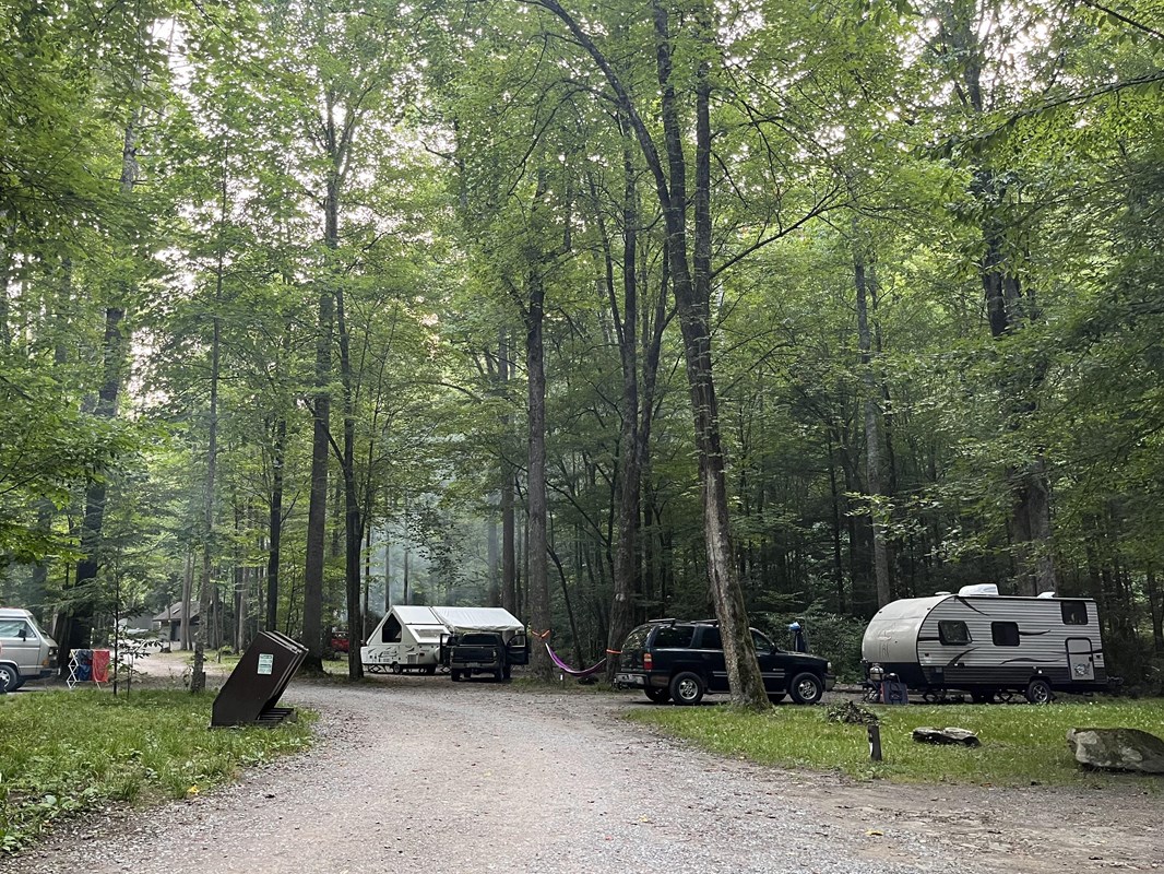 Cataloochee Group Camp