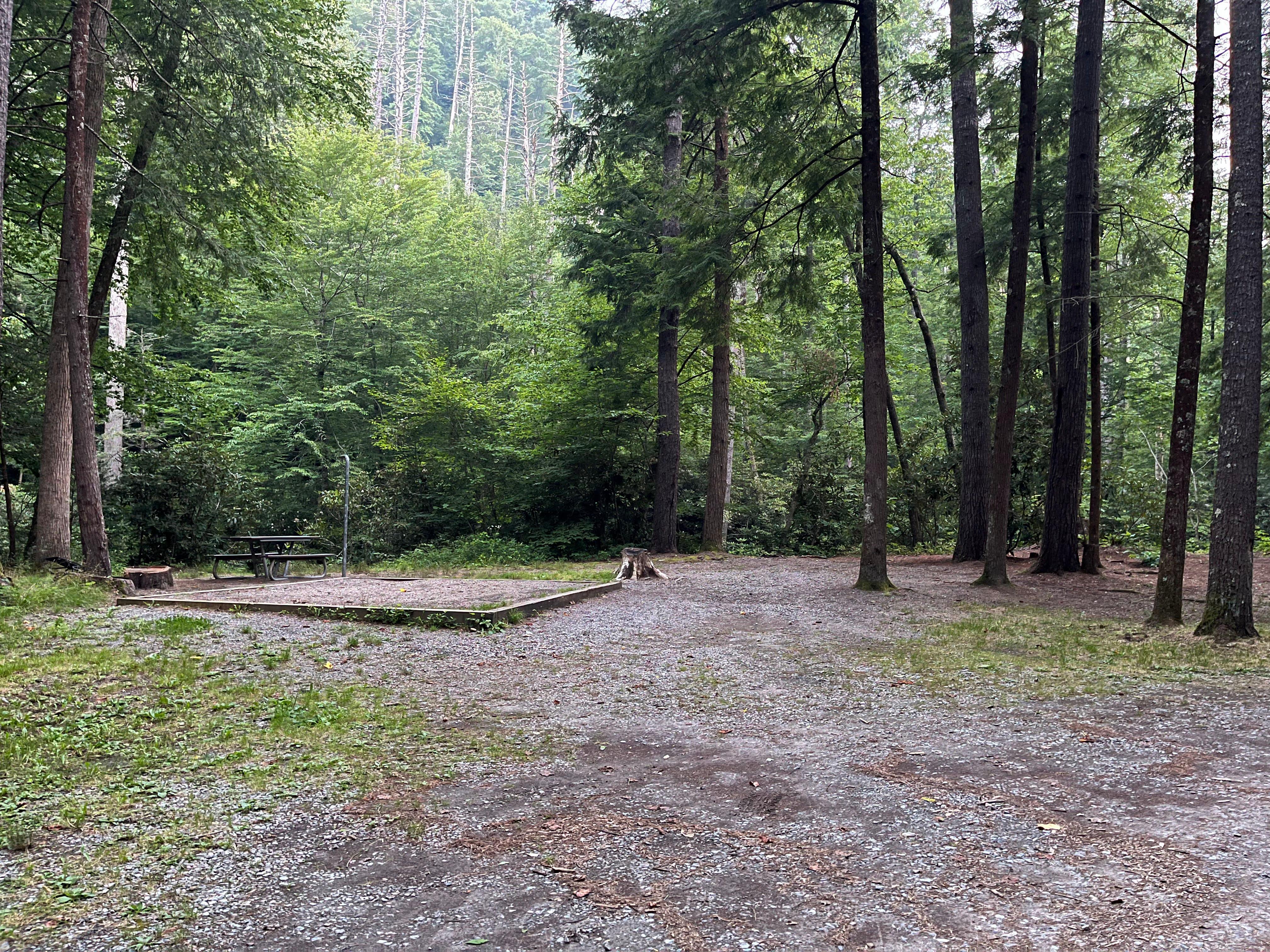 Cataloochee Group Camp