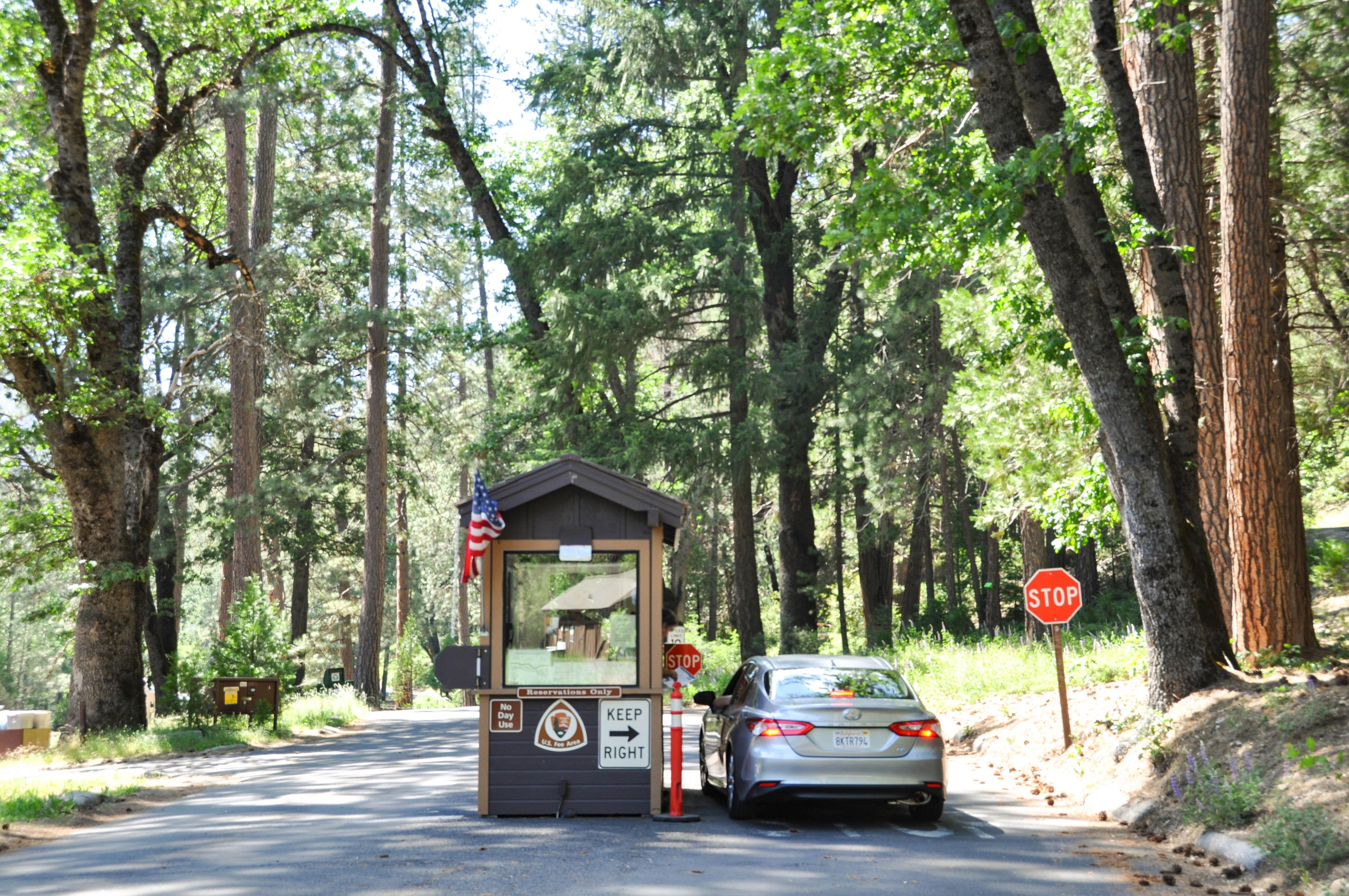 Wawona Campground