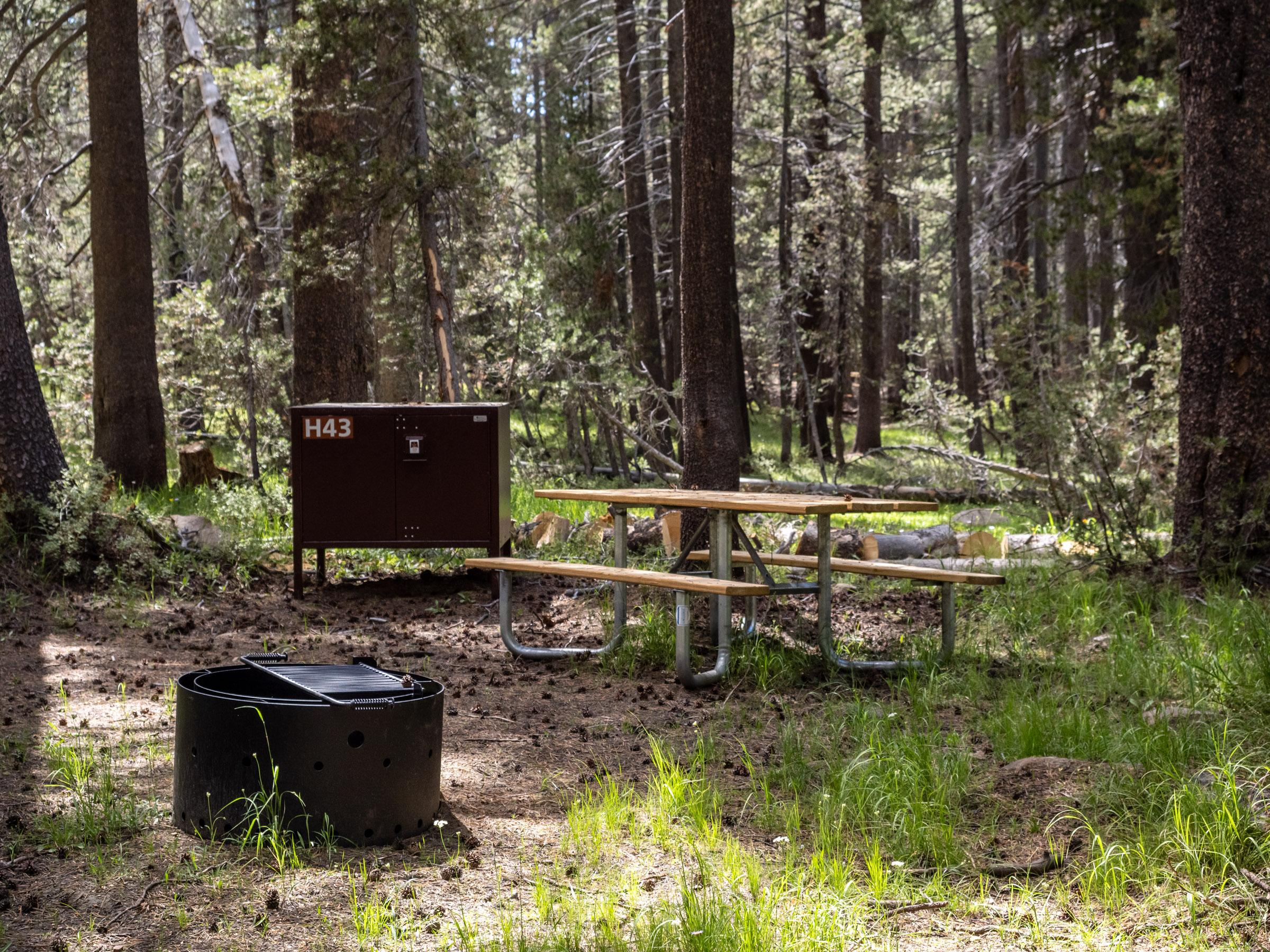 Tuolumne Meadows Campground