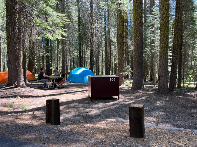 Crane Flat Campground