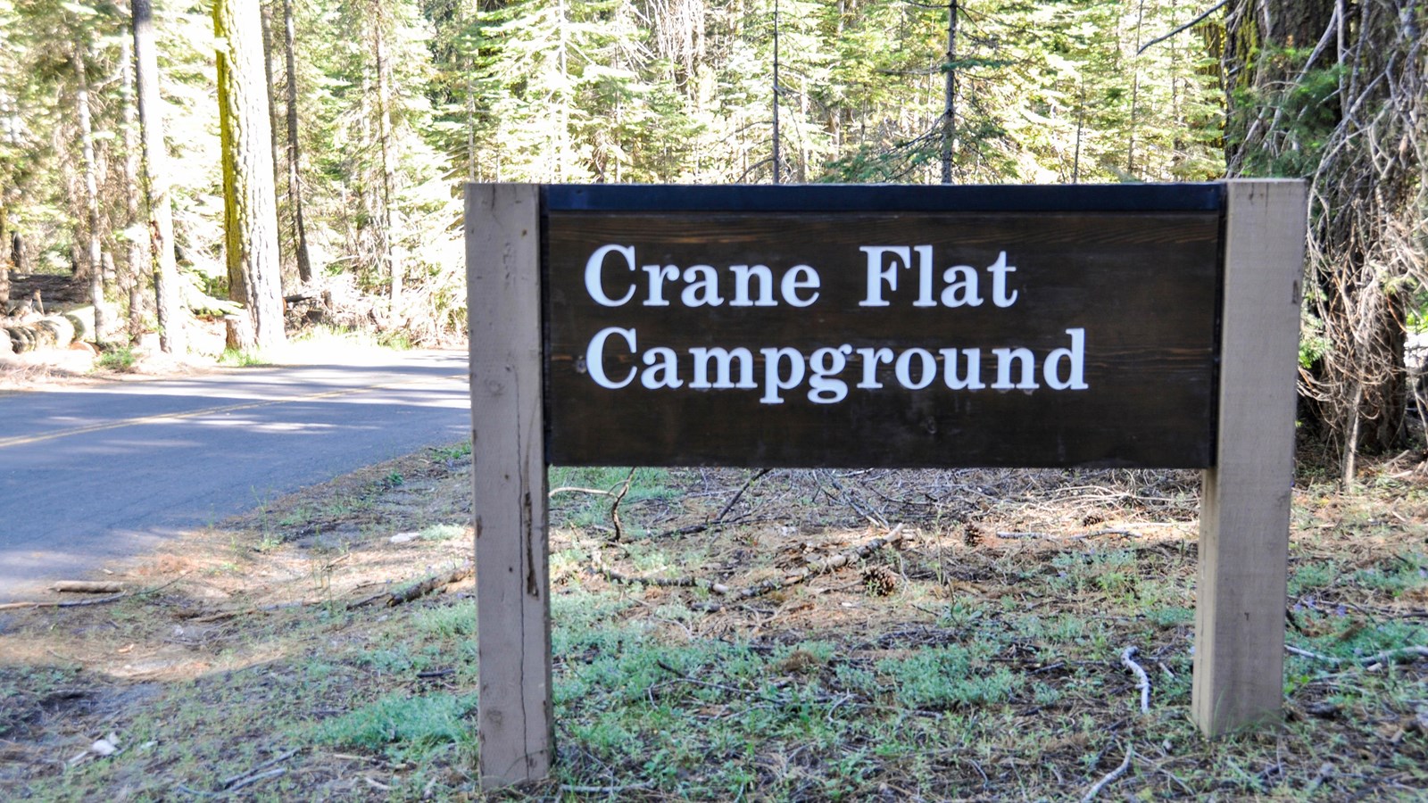 Crane Flat Campground