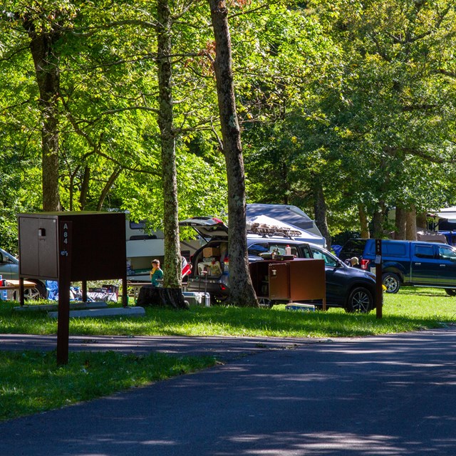 Big Meadows Campground - Shenandoah (Va)