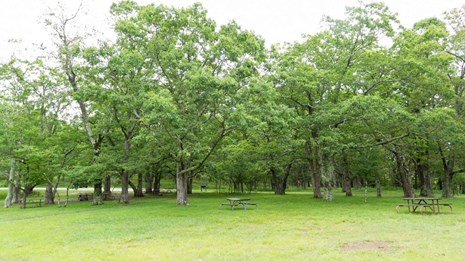 Big Meadows Campground - Shenandoah (Va)