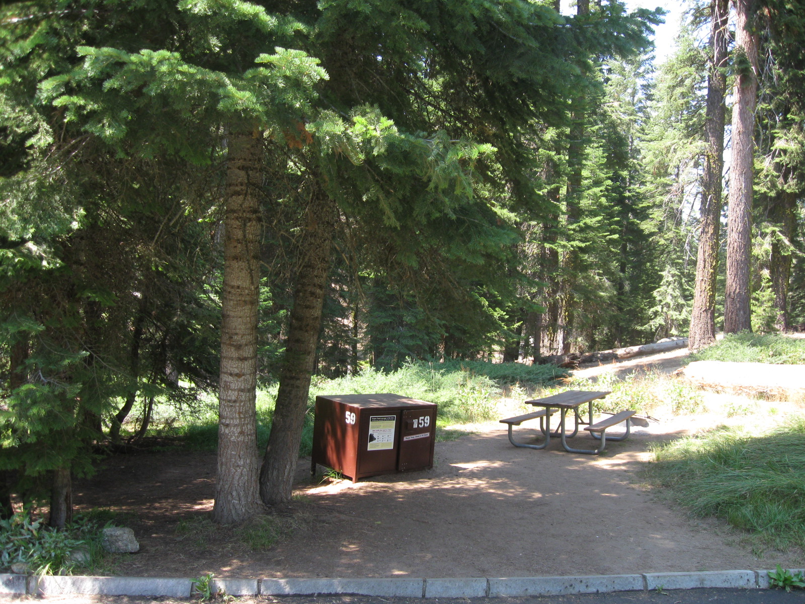 Dorst Creek Campground-Sequoia And Kings Canyon National Park