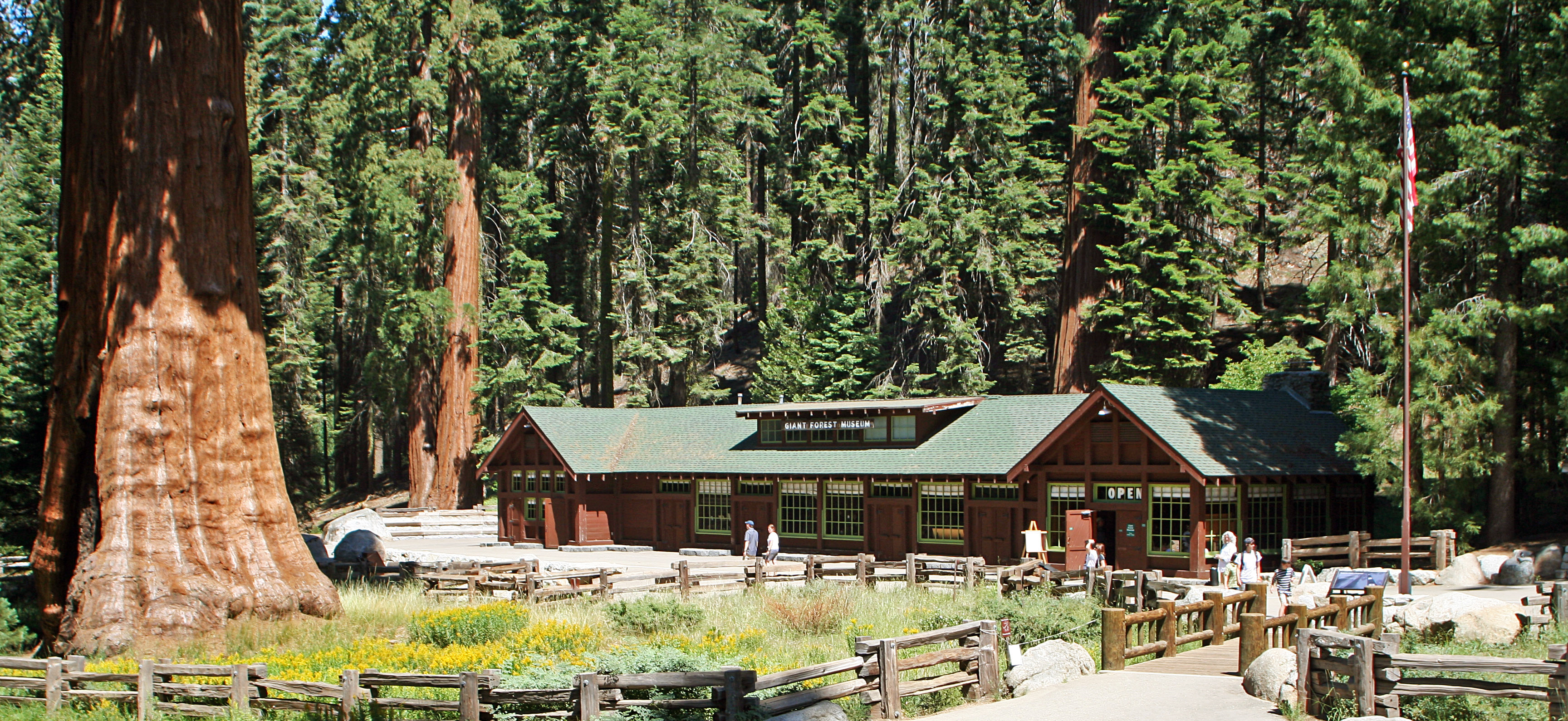 Lodgepole Campground-Sequoia And Kings Canyon National Park