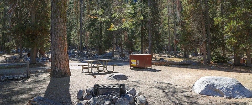Lodgepole Campground-Sequoia And Kings Canyon National Park