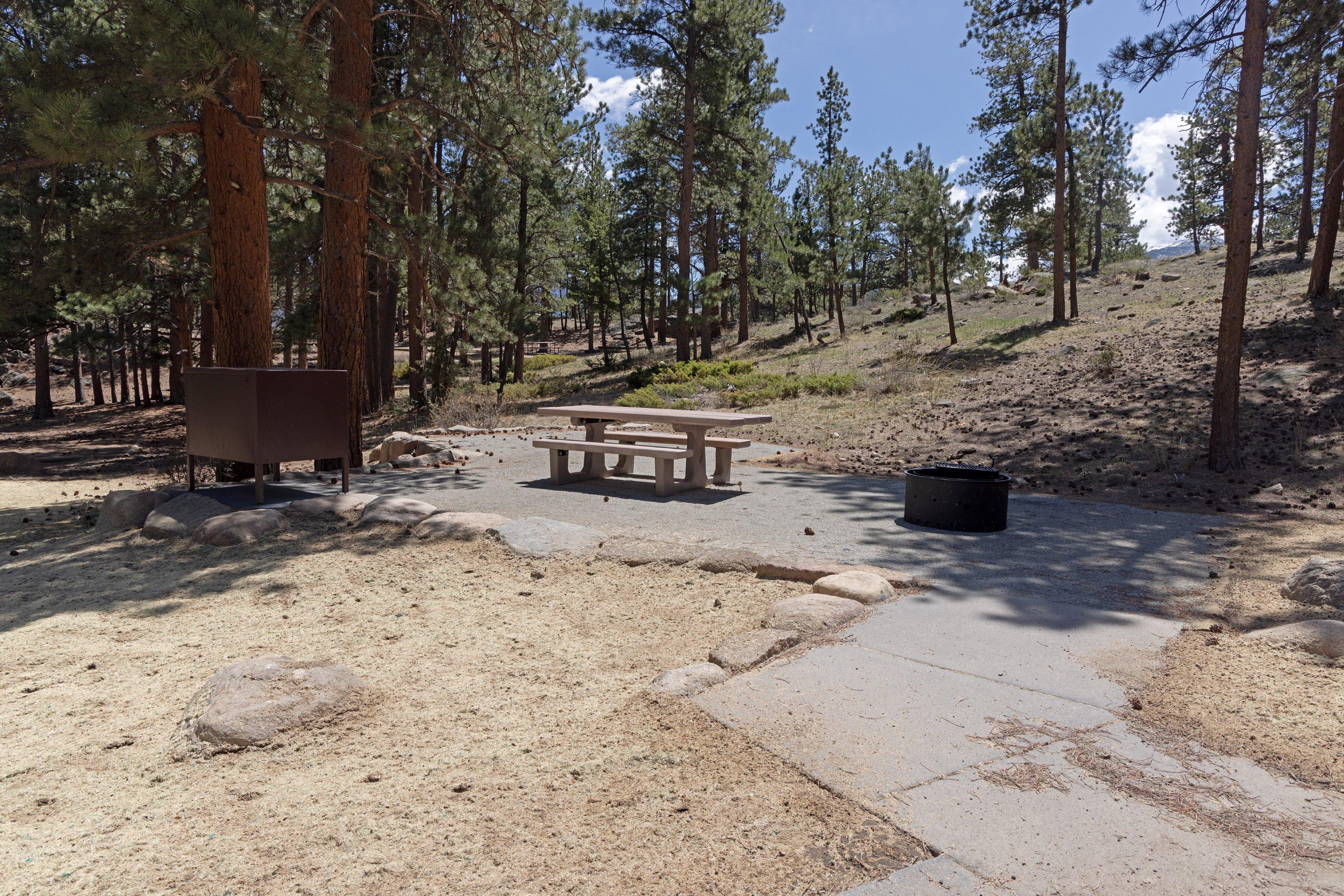 Rocky Mountain National Park Moraine Park Campground
