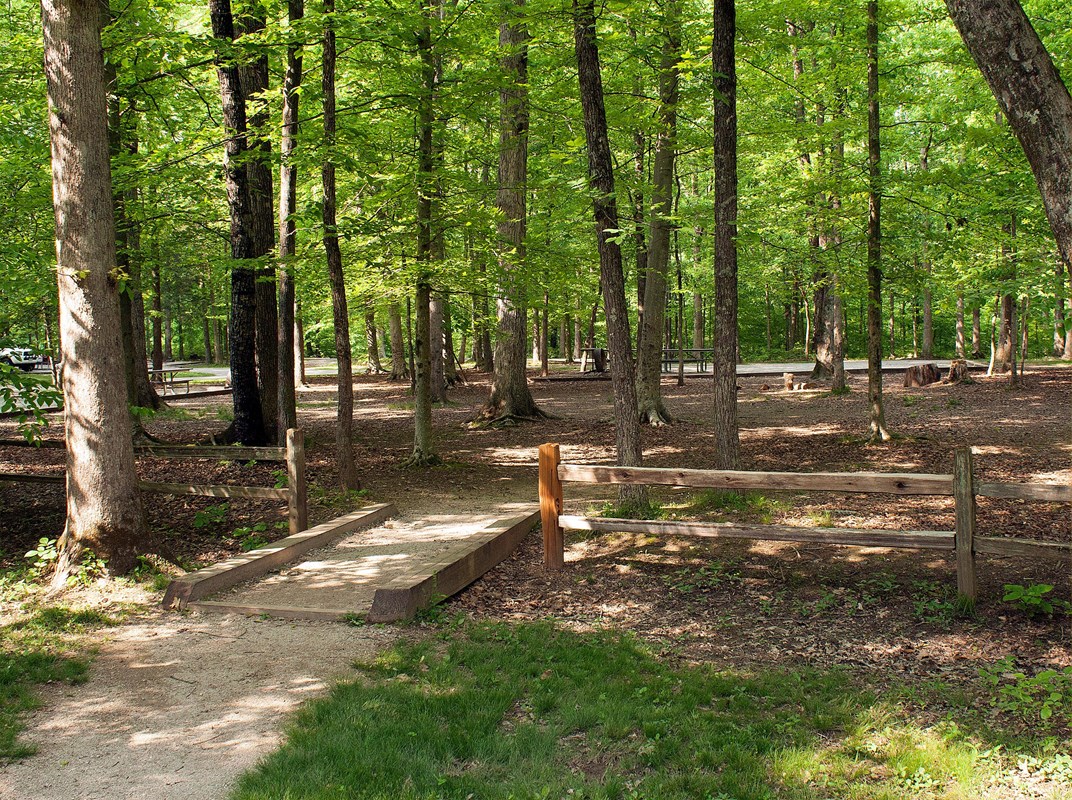 Mammoth Cave Campground