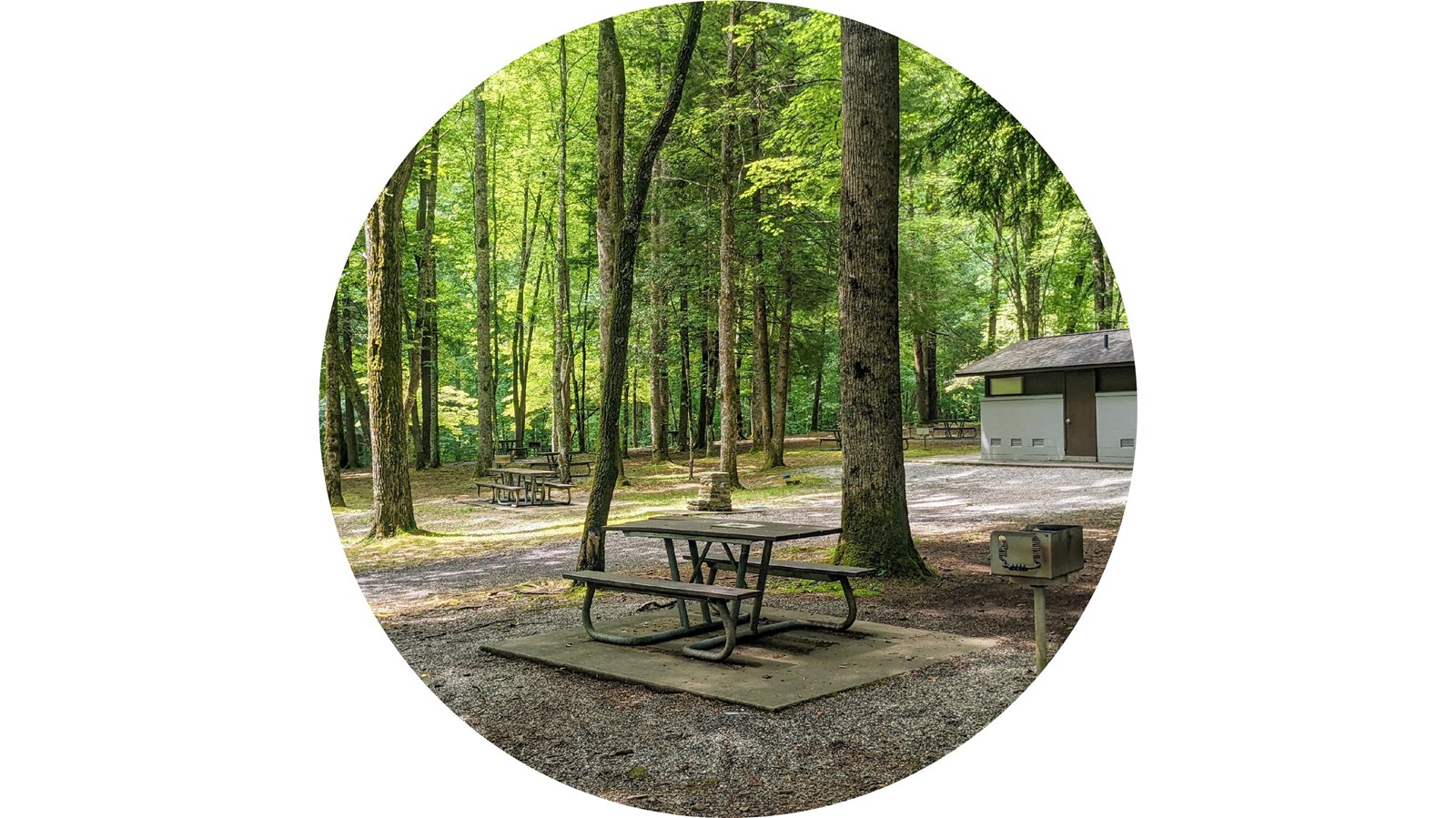 Collins Creek Picnic Pavilion