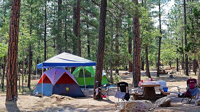 North Rim Campground (Az)