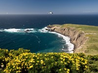 Santa Barbara Island