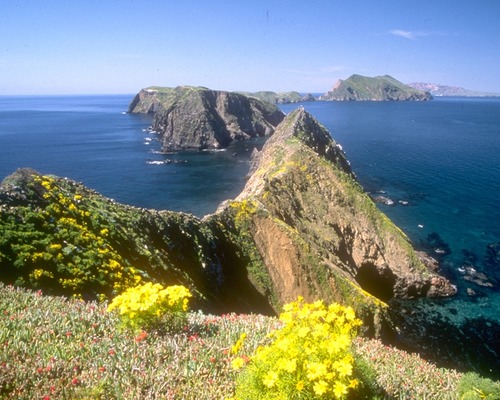 Anacapa Island
