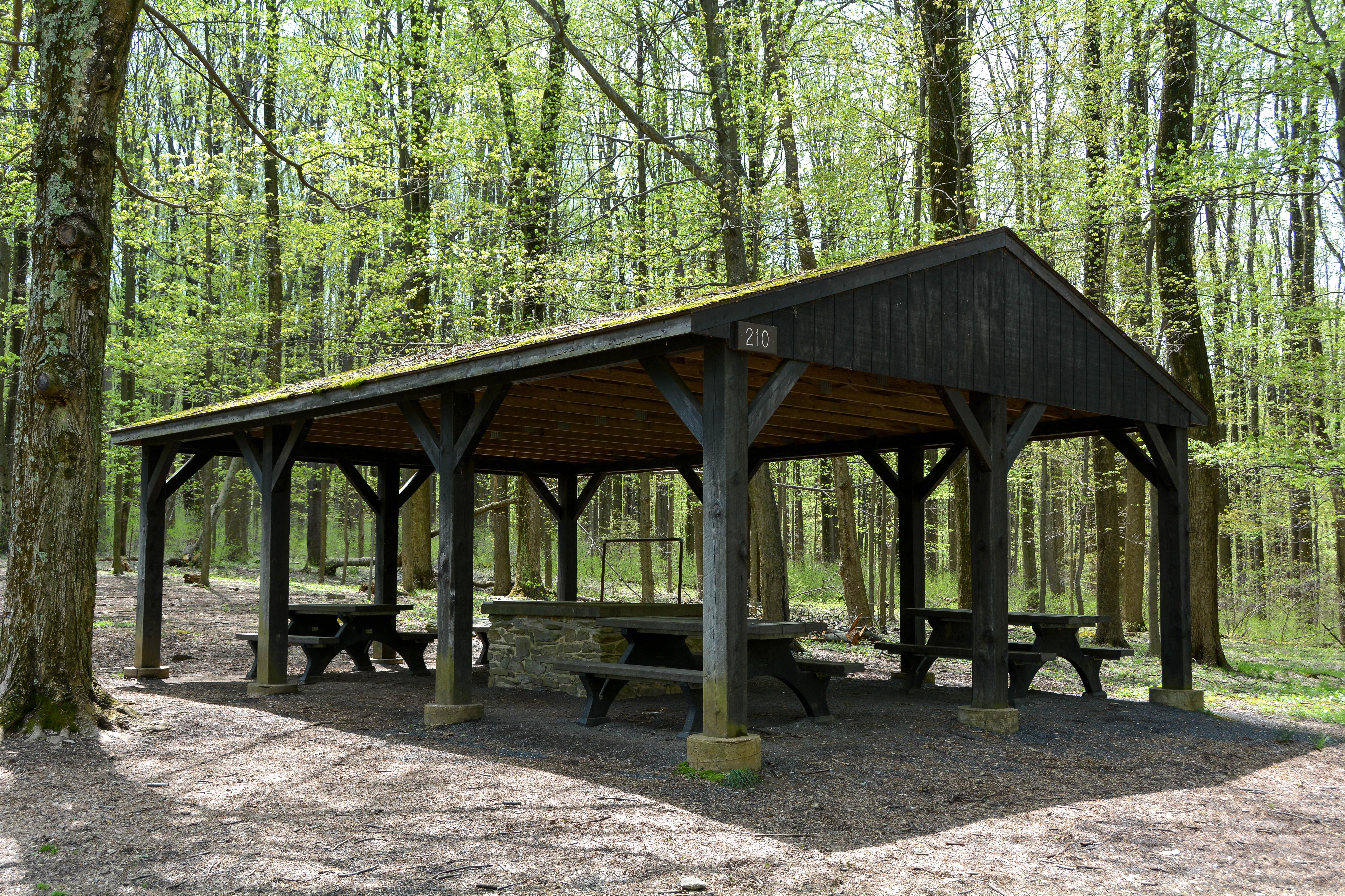 Poplar Grove Youth Group Campground