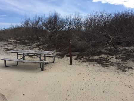 Assateague Island National Seashore Campground