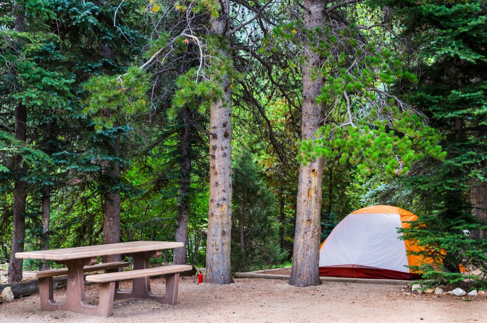 Rocky Mountain National Park Aspenglen Campground