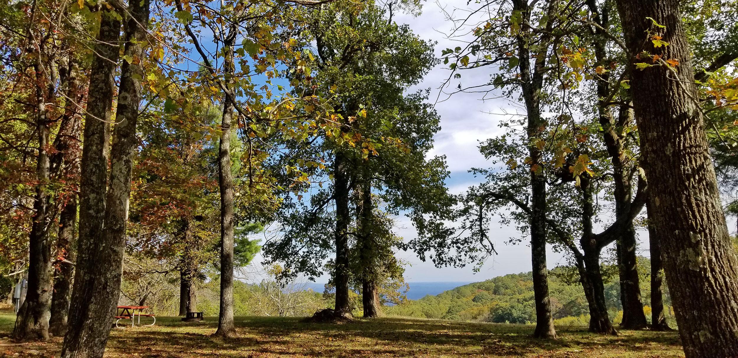 Rocky Knob Campground