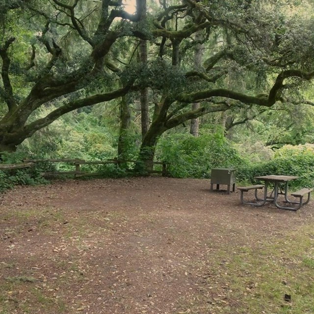 Point Reyes National Seashore Campground