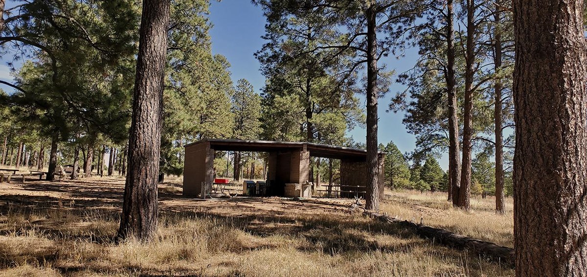 Ponderosa Group Campground (Nm)