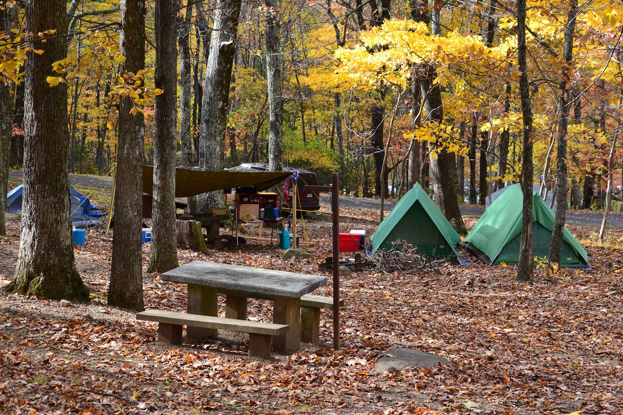 Peaks Of Otter Campground