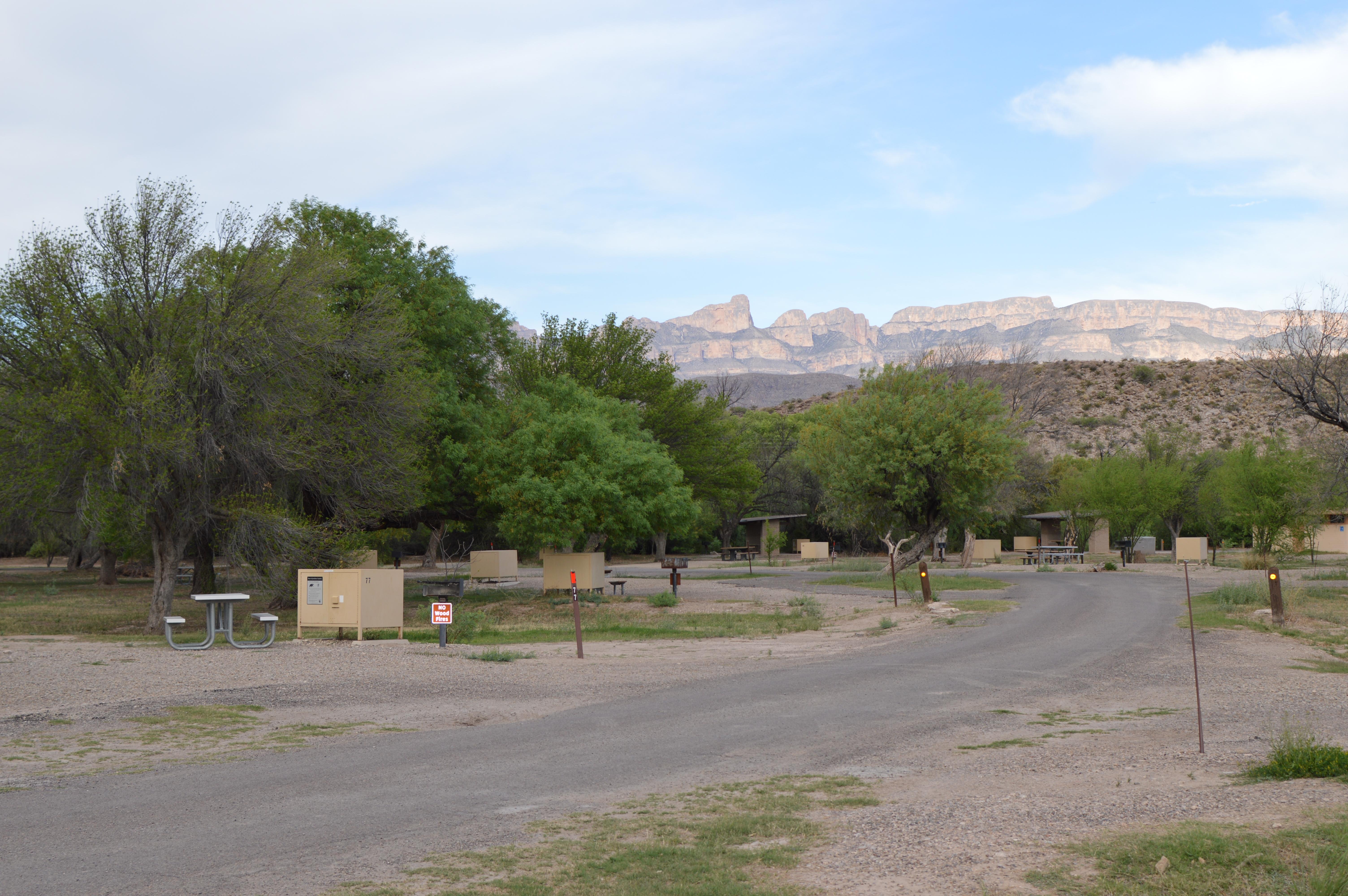 Rio Grande Village Group Campground (Big Bend, Tx)