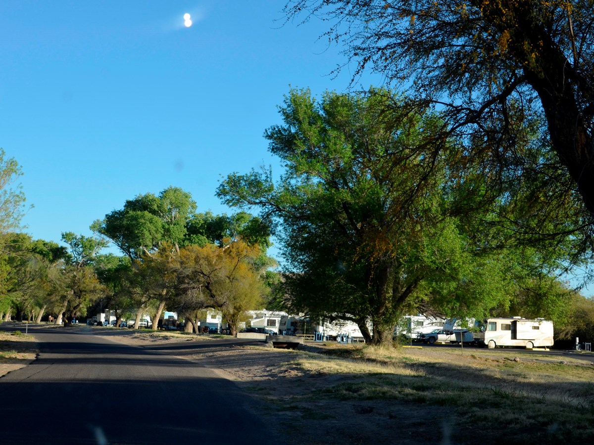 Rio Grande Village Group Campground (Big Bend, Tx)