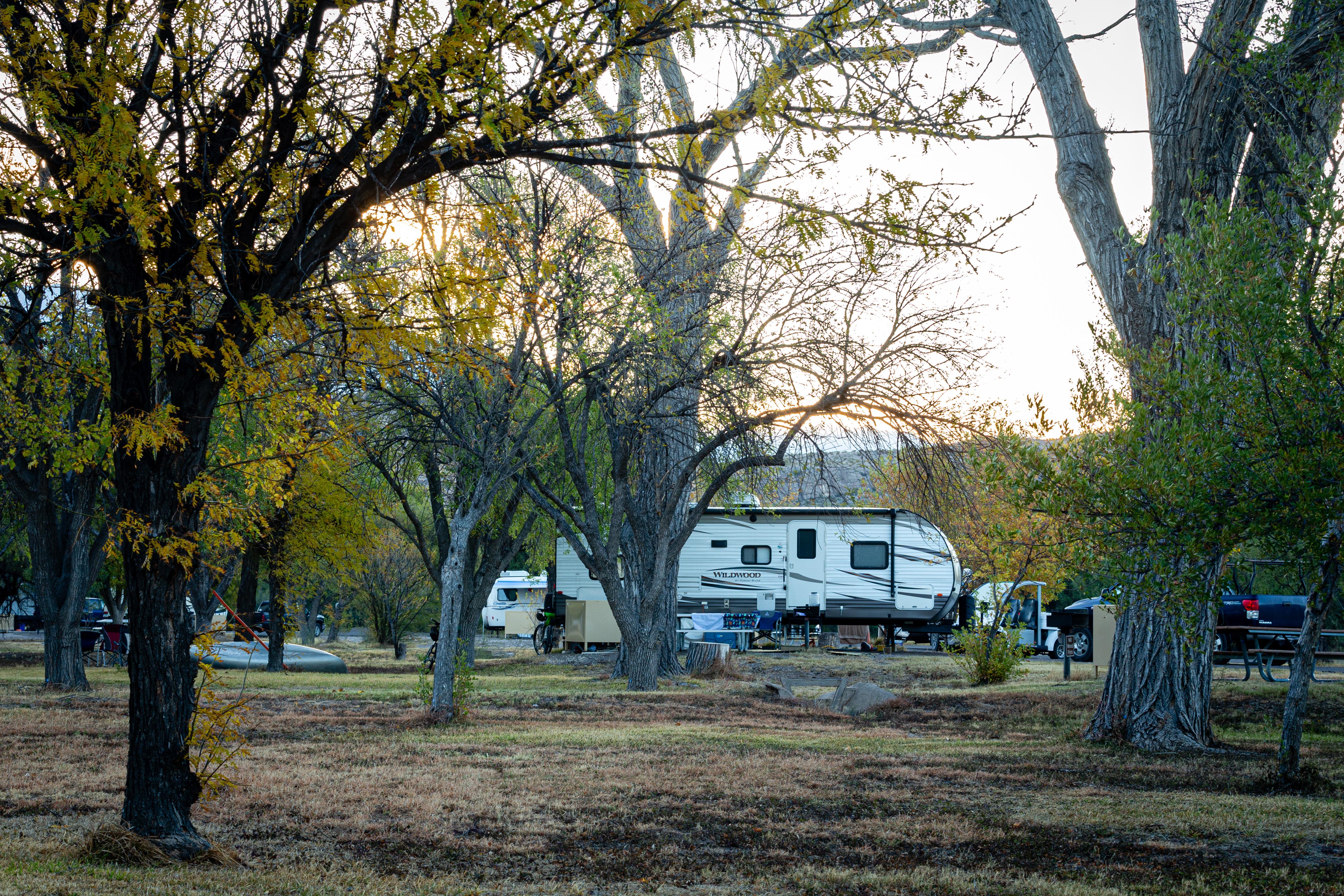 Rio Grande Village Group Campground (Big Bend, Tx)
