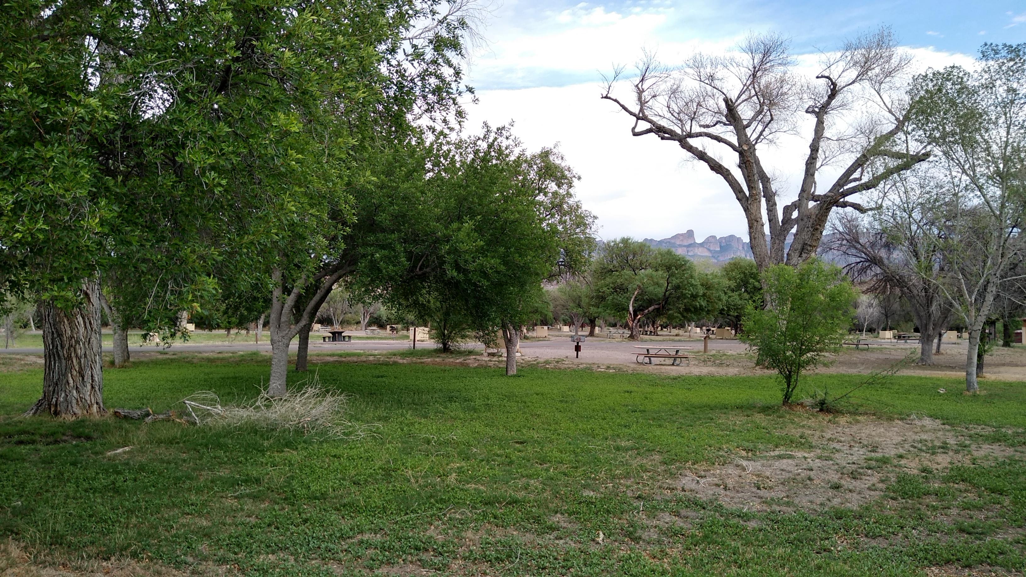 Rio Grande Village Group Campground (Big Bend, Tx)
