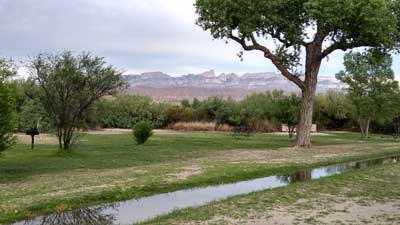 Rio Grande Village Group Campground (Big Bend, Tx)