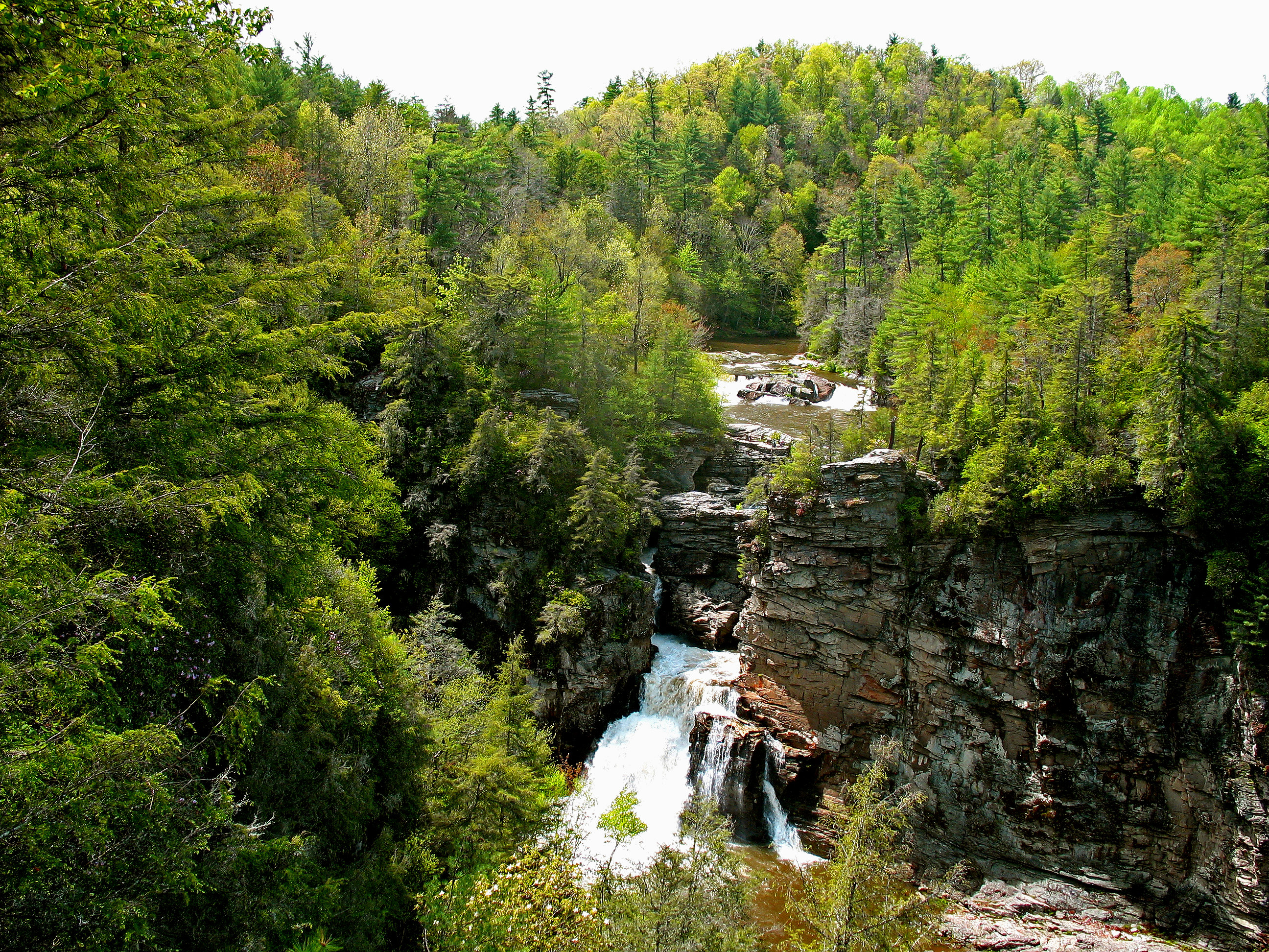 Linville Falls Campground