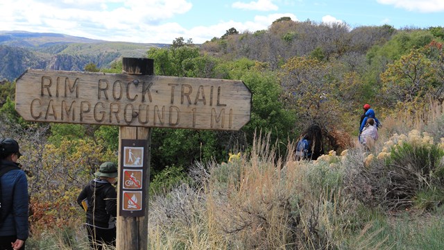 Black Canyon Of The Gunnison South Rim Campground