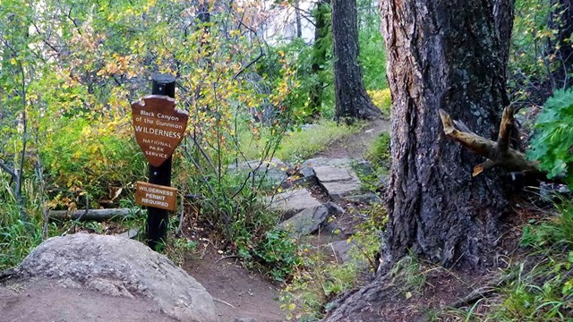 Black Canyon Of The Gunnison South Rim Campground