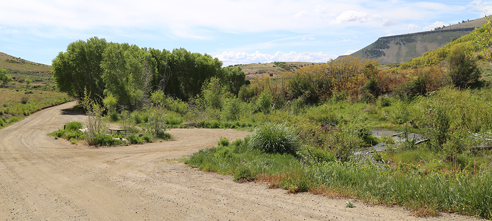 Stevens Creek Campground